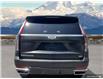 2021 Cadillac Escalade ESV Premium Luxury (Stk: AB426795) in Abbotsford - Image 5 of 24