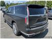 2021 Cadillac Escalade ESV Premium Luxury (Stk: AB426795) in Abbotsford - Image 9 of 24