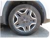 2022 Hyundai Santa Fe Plug-In Hybrid Luxury (Stk: 300518) in Lethbridge - Image 10 of 10