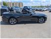 2017 Ford Mustang V6 (Stk: S-1086B) in Calgary - Image 6 of 23