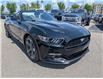 2017 Ford Mustang V6 (Stk: S-1086B) in Calgary - Image 7 of 23