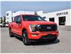 2023 Ford F-150 XLT (Stk: VF00373R) in Chatham - Image 7 of 33