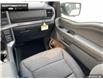 2025 Ford F-150 XLT (Stk: 5F160301) in Brantford - Image 22 of 22