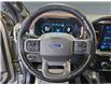 2021 Ford F-150 Lariat (Stk: S9664A) in ROSETOWN - Image 14 of 17