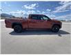 2025 Toyota Tundra Limited (Stk: X045732) in Cranbrook - Image 6 of 22