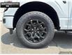 2025 Ford F-150 XLT (Stk: 5F124193) in Brantford - Image 5 of 21