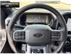 2025 Ford F-150 XLT (Stk: 5F124193) in Brantford - Image 10 of 21