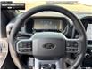 2025 Ford F-150 XLT (Stk: 5F124193) in Brantford - Image 11 of 21