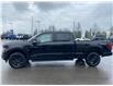 2025 Ford F-150 XLT (Stk: 2025-106) in New Liskeard - Image 5 of 16