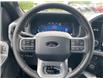 2025 Ford F-150 XLT (Stk: 2025-106) in New Liskeard - Image 14 of 16