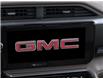 2025 GMC Sierra 1500 Denali (Stk: FFSDH3) in ARNPRIOR - Image 20 of 24