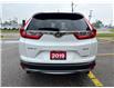 2019 Honda CR-V Touring (Stk: 18769) in Sarnia - Image 2 of 8