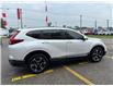 2019 Honda CR-V Touring (Stk: 18769) in Sarnia - Image 4 of 8