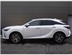 2025 Lexus RX 350 Base (Stk: RX8055) in Windsor - Image 3 of 22