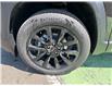 2026 GMC Terrain Elevation (Stk: 25272) in Campbellton - Image 4 of 16