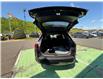 2026 GMC Terrain Elevation (Stk: 25272) in Campbellton - Image 7 of 16