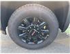 2025 GMC Sierra 2500HD AT4 (Stk: 25282) in Campbellton - Image 4 of 17