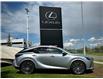 2023 Lexus RX 350 Base (Stk: 250964A) in Calgary - Image 2 of 24