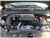 2025 Jeep Compass Sport (Stk: C257153) in Port Alberni - Image 14 of 14
