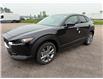 2025 Mazda CX-30 GS (Stk: 225-132) in Pembroke - Image 1 of 1
