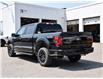 2025 Ford F-150 XLT (Stk: F51830) in GEORGETOWN - Image 7 of 27