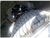 2025 Ford F-150 XL (Stk: TS389) in Kamloops - Image 7 of 22
