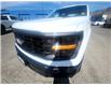 2025 Ford F-150 XL (Stk: TS389) in Kamloops - Image 8 of 22