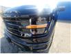 2025 Ford F-150 XLT (Stk: TS405) in Kamloops - Image 8 of 23