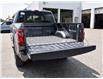 2025 Ford F-150 XLT (Stk: F51803) in GEORGETOWN - Image 11 of 30