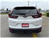 2020 Honda CR-V Black Edition (Stk: 18772) in Sarnia - Image 2 of 8