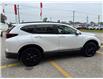 2020 Honda CR-V Black Edition (Stk: 18772) in Sarnia - Image 4 of 8