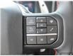 2025 Ford F-150 Raptor (Stk: 25F1958) in St. Catharines - Image 14 of 21