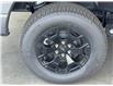 2025 Ford F-150 Lightning XLT (Stk: 25168) in Port Alberni - Image 11 of 23
