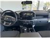 2025 Ford F-150 Lightning XLT (Stk: 25168) in Port Alberni - Image 13 of 23