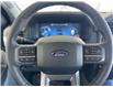 2025 Ford F-150 Lightning XLT (Stk: 25168) in Port Alberni - Image 16 of 23