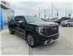 2025 GMC Sierra 1500 Denali Ultimate (Stk: Z273747) in Newmarket - Image 3 of 27