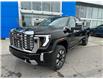 2025 GMC Sierra 2500HD Denali (Stk: F314573) in Newmarket - Image 1 of 29