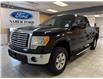 2012 Ford F-150 XLT (Stk: UD07380) in Shellbrook - Image 1 of 22