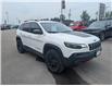 2020 Jeep Cherokee Trailhawk (Stk: U544170-OC) in Orangeville - Image 7 of 24