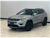 2019 Jeep Compass Limited (Stk: T790126) in Courtenay - Image 3 of 16