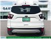 2018 Ford Escape SEL (Stk: C54329A) in London - Image 6 of 29