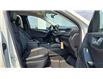 2025 Ford Escape PHEV (Stk: S08023) in Hague - Image 12 of 13