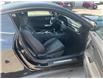 2024 Ford Mustang  (Stk: 250547A) in Kingston - Image 10 of 21