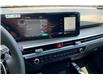 2025 Kia Sorento Plug-In Hybrid SX (Stk: SSR3041) in Sherwood Park - Image 6 of 15