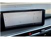 2025 Kia Sorento Plug-In Hybrid SX (Stk: SSR3041) in Sherwood Park - Image 14 of 15