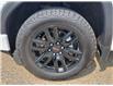 2022 GMC Sierra 1500 Limited Elevation (Stk: N250390A) in Stony Plain - Image 4 of 48