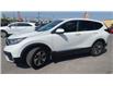 2020 Honda CR-V LX (Stk: 25314) in Sudbury - Image 6 of 24