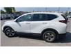 2020 Honda CR-V LX (Stk: 25314) in Sudbury - Image 7 of 24
