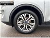 2022 Ford Escape SEL (Stk: 5EC5018A) in Brantford - Image 6 of 23