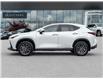 2022 Lexus NX 350h  (Stk: 15104734A) in Richmond Hill - Image 4 of 27